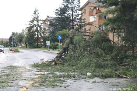 Neurje z vetrom podiralo drevesa in odkrivalo strehe (17)
